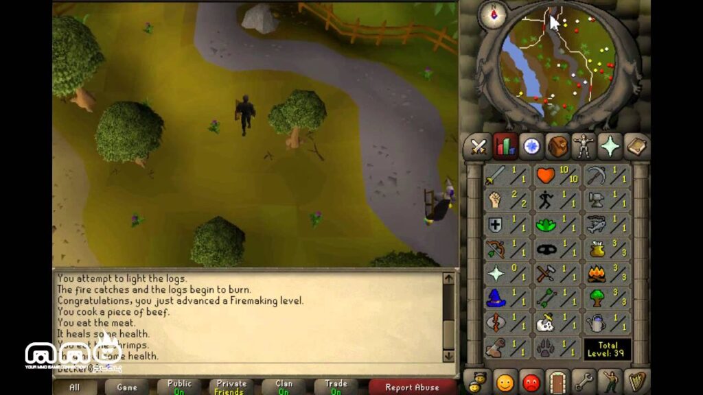 a screenshot of the gameplay of one of the top MMORPGs: Old School RuneScape